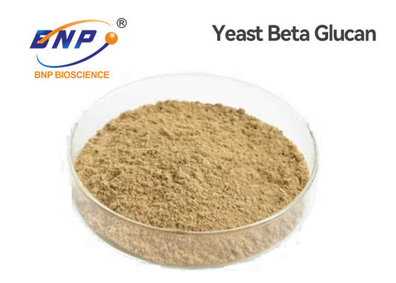 प्राकृतिक पोषक तत्व हल्का पीला खमीर बीटा ग्लूकन 80% पॉलीसेकेराइड पाउडर जीएमपी