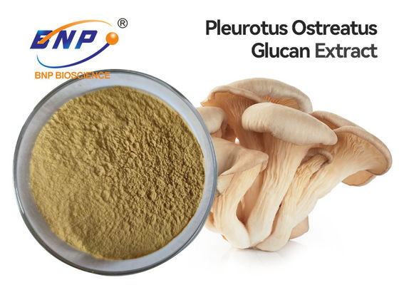 Pleurotus Ostreatus Oyster Mushroom Extract सप्लीमेंट पॉलीसेकेराइड 10%