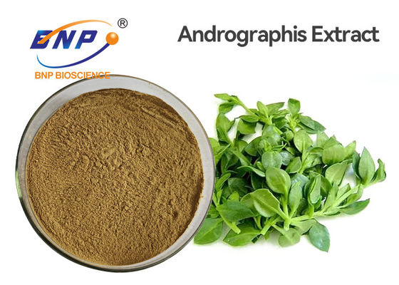जीवाणुरोधी खाद्य ग्रेड Andrographis Paniculata निकालें पाउडर 3% -99% Andrographolide