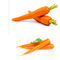 सूखे फल सब्जी पाउडर अनुपूरक ठीक कार्बनिक गाजर का रस पाउडर